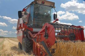 A tractor harvesting grain/