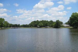 A lake surrounded by trees.