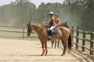 A 4-H member on a horse.