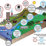 Progression of microplastics in the environment. (Image credit: usgs.gov, 2023.)