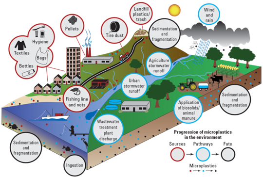 Progression of microplastics in the environment. (Image credit: usgs.gov, 2023.)