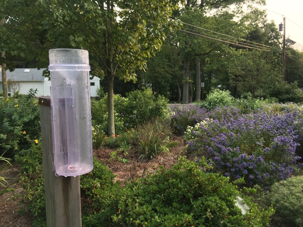 A CoCoRaHS rain gauge used by community scientists to watch and report weather conditions.