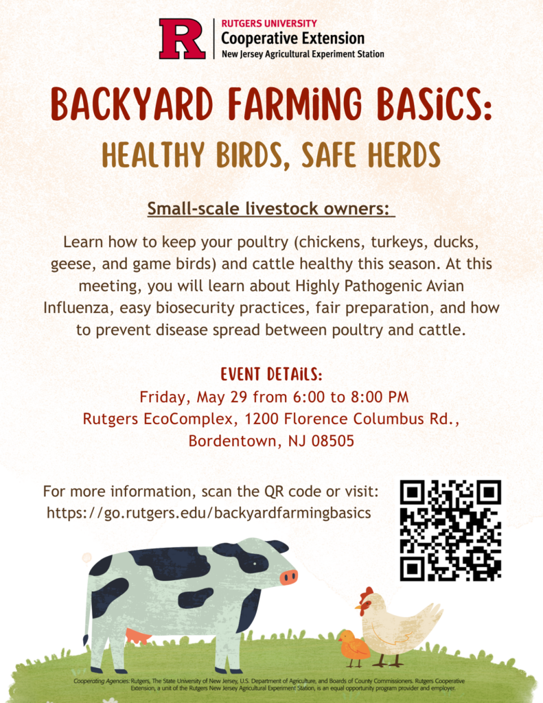 Backyard Farming Basics: Healthy Birds, Safe Birds. May 29, 2026. Bordentown, NJ. Learn how to keep your poultry and cattle healthy this season. Learn how to keep your poultry and cattle healthy this season. Learn about highly pathogenic avian influenza, biosecurity practices, fair preparation, and preventing disease spread. Friday, May 29, 2026. 6 pm - 8 pm. Rutgers EcoComplex. 1200 Florence Columbus Rd, Bordentown, NJ 08505. https://go.rutgers.edu/backyardfarmingbasics