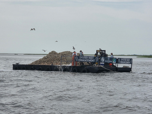 A barge carrying a load of shells on the water to build oyster reefs