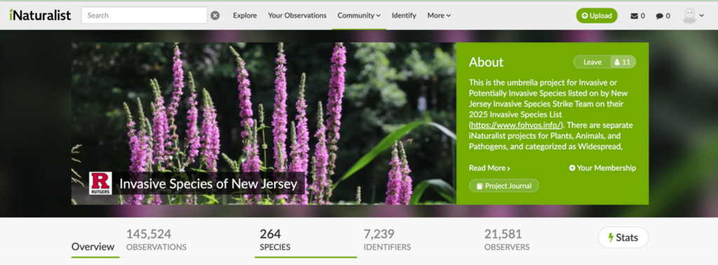 Screenshot of the invasive species page on iNaturalist